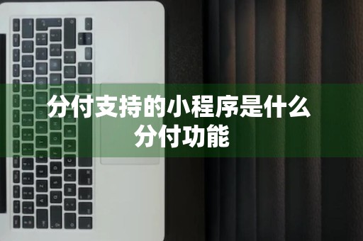 分付支持的小程序是什么 分付功能