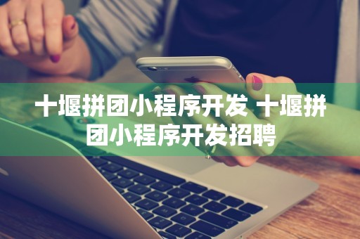 十堰拼团小程序开发 十堰拼团小程序开发招聘