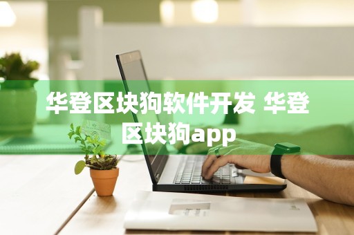 华登区块狗软件开发 华登区块狗app