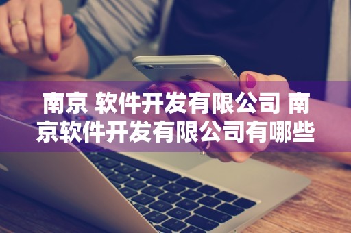 南京 软件开发有限公司 南京软件开发有限公司有哪些