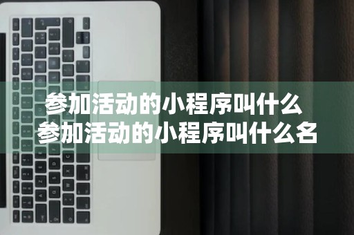 参加活动的小程序叫什么 参加活动的小程序叫什么名字