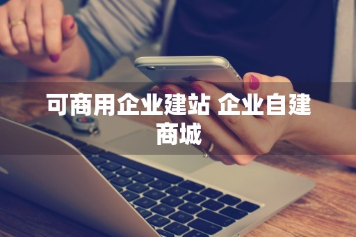 可商用企业建站 企业自建商城