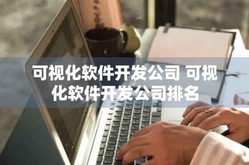 可视化软件开发公司 可视化软件开发公司排名