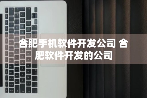 合肥手机软件开发公司 合肥软件开发的公司