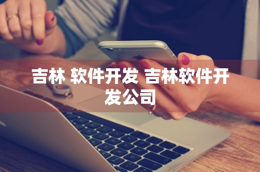 吉林 软件开发 吉林软件开发公司