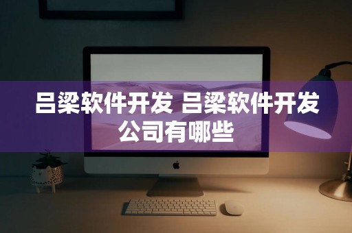 吕梁软件开发 吕梁软件开发公司有哪些