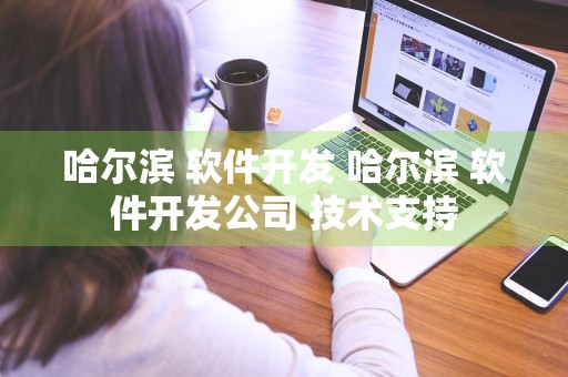 哈尔滨 软件开发 哈尔滨 软件开发公司 技术支持