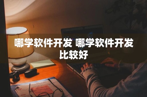 哪学软件开发 哪学软件开发比较好