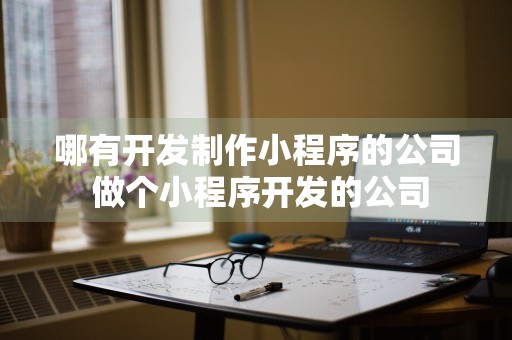 哪有开发制作小程序的公司 做个小程序开发的公司