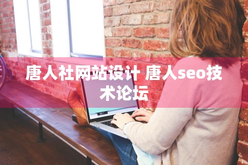唐人社网站设计 唐人seo技术论坛