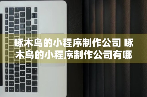 啄木鸟的小程序制作公司 啄木鸟的小程序制作公司有哪些