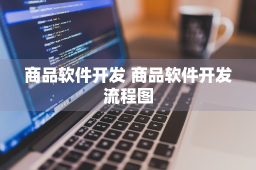 商品软件开发 商品软件开发流程图