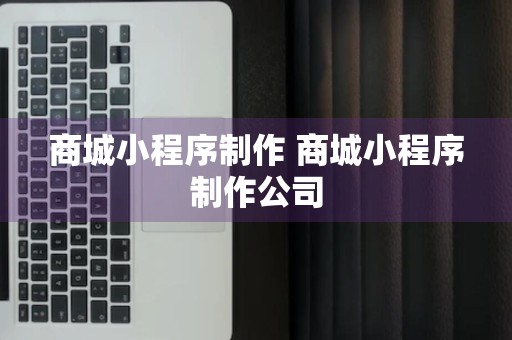 商城小程序制作 商城小程序制作公司