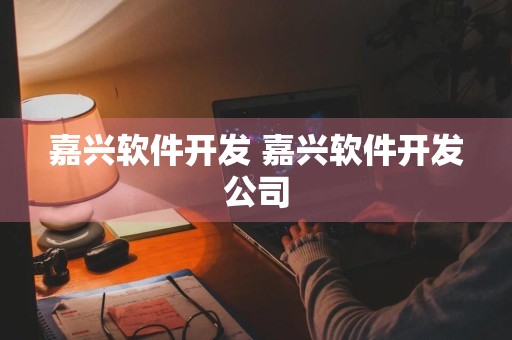 嘉兴软件开发 嘉兴软件开发公司