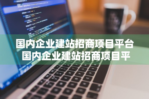 国内企业建站招商项目平台 国内企业建站招商项目平台有哪些