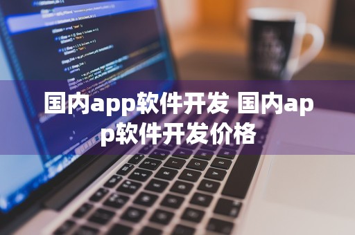 国内app软件开发 国内app软件开发价格