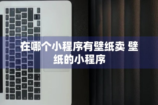 在哪个小程序有壁纸卖 壁纸的小程序