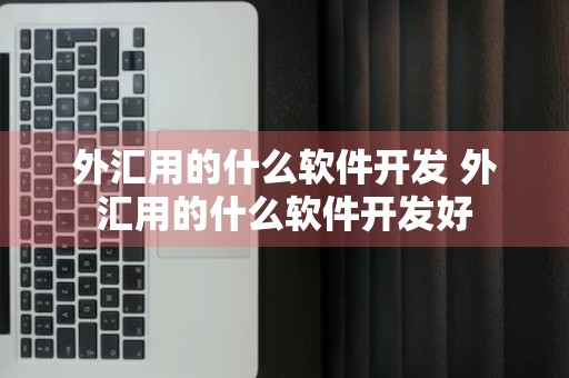 外汇用的什么软件开发 外汇用的什么软件开发好