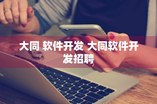 大同 软件开发 大同软件开发招聘