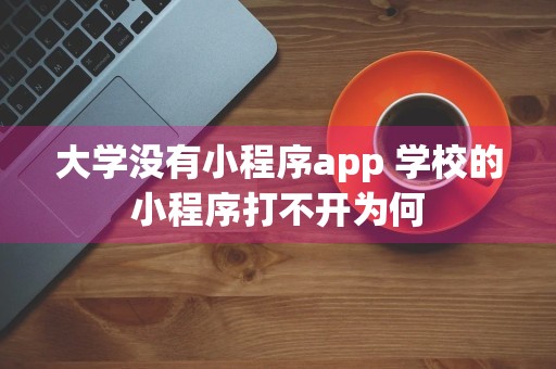 大学没有小程序app 学校的小程序打不开为何