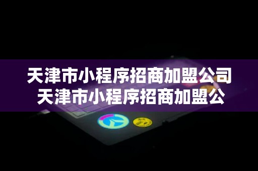 天津市小程序招商加盟公司 天津市小程序招商加盟公司地址