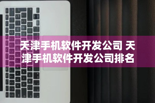 天津手机软件开发公司 天津手机软件开发公司排名