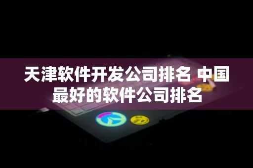 天津软件开发公司排名 中国最好的软件公司排名