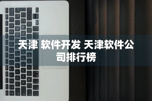 天津 软件开发 天津软件公司排行榜