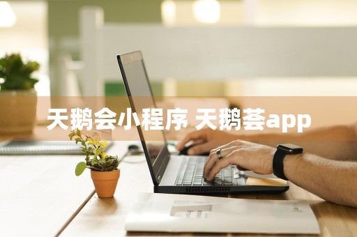 天鹅会小程序 天鹅荟app