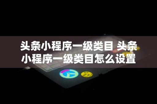 头条小程序一级类目 头条小程序一级类目怎么设置