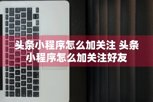 头条小程序怎么加关注 头条小程序怎么加关注好友