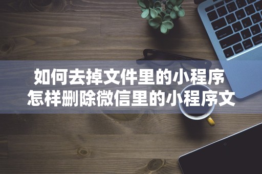 如何去掉文件里的小程序 怎样删除微信里的小程序文件不用的文件