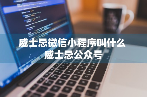 威士忌微信小程序叫什么 威士忌公众号