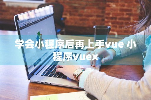 学会小程序后再上手vue 小程序vuex