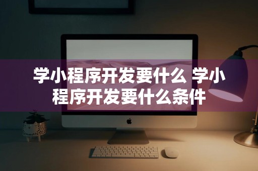 学小程序开发要什么 学小程序开发要什么条件