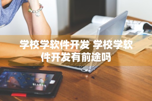 学校学软件开发 学校学软件开发有前途吗