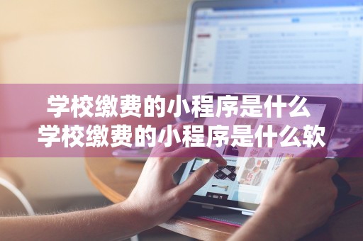 学校缴费的小程序是什么 学校缴费的小程序是什么软件