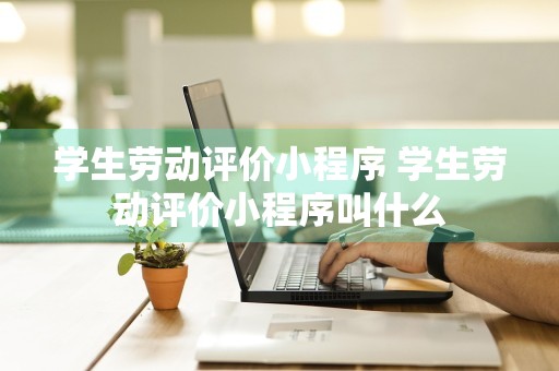 学生劳动评价小程序 学生劳动评价小程序叫什么