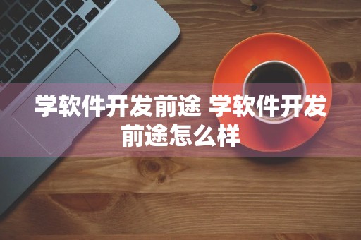 学软件开发前途 学软件开发前途怎么样