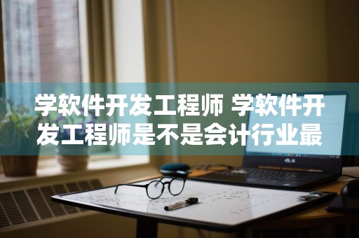 学软件开发工程师 学软件开发工程师是不是会计行业最适合