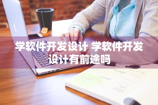 学软件开发设计 学软件开发设计有前途吗