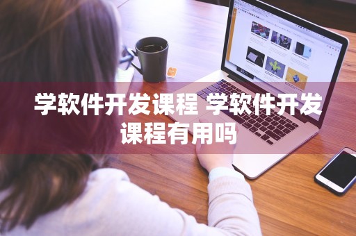 学软件开发课程 学软件开发课程有用吗