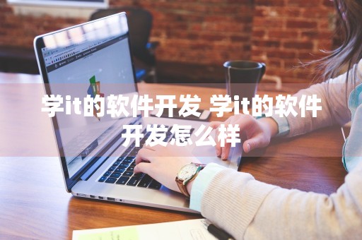 学it的软件开发 学it的软件开发怎么样