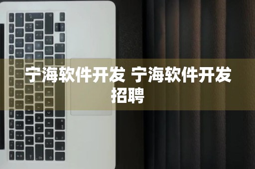 宁海软件开发 宁海软件开发招聘