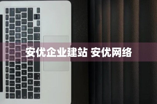 安优企业建站 安优网络