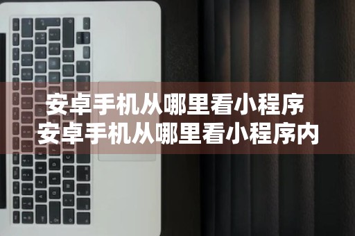 安卓手机从哪里看小程序 安卓手机从哪里看小程序内存