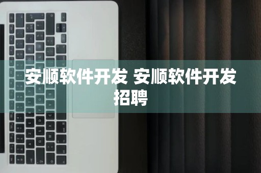 安顺软件开发 安顺软件开发招聘