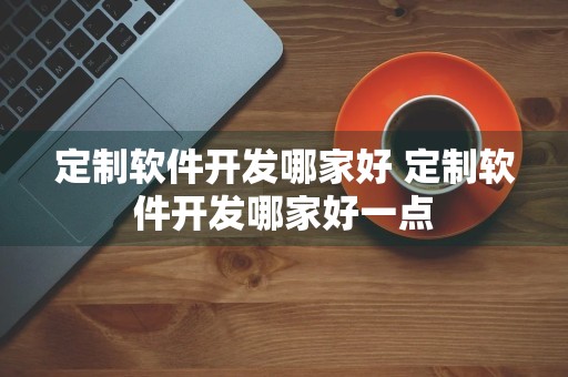 定制软件开发哪家好 定制软件开发哪家好一点