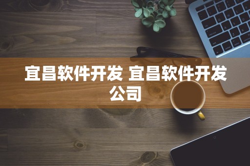 宜昌软件开发 宜昌软件开发公司