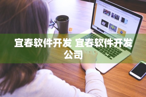 宜春软件开发 宜春软件开发公司